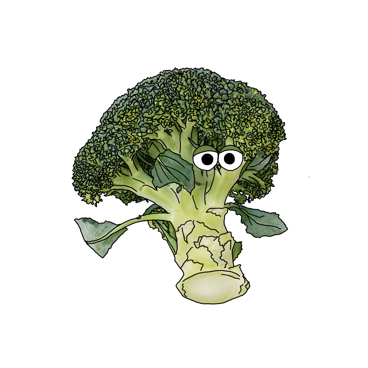 ブロッコリーのイラスト｜商用可フリー画像・背景透過