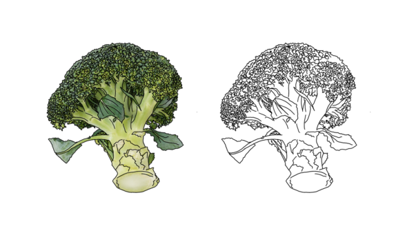 食べ物の塗り絵｜商用可フリー画像・背景透過