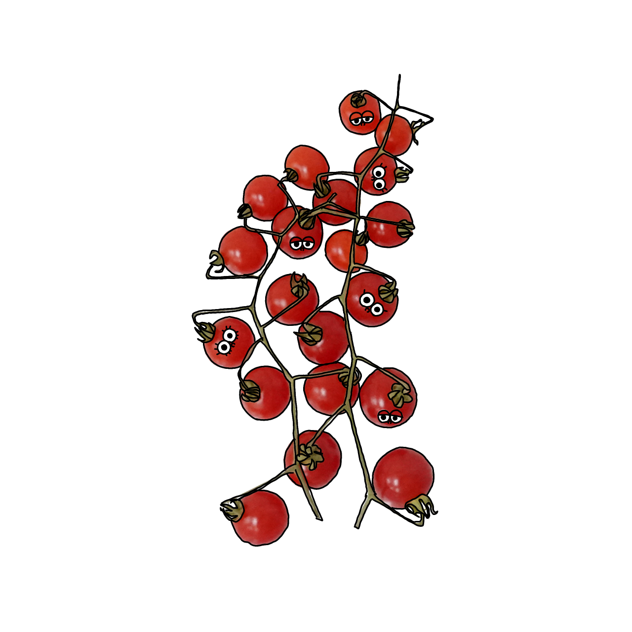 マイクロトマトのイラスト｜商用可フリー画像・背景透過