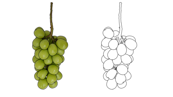 食べ物の塗り絵｜商用可フリー画像・背景透過