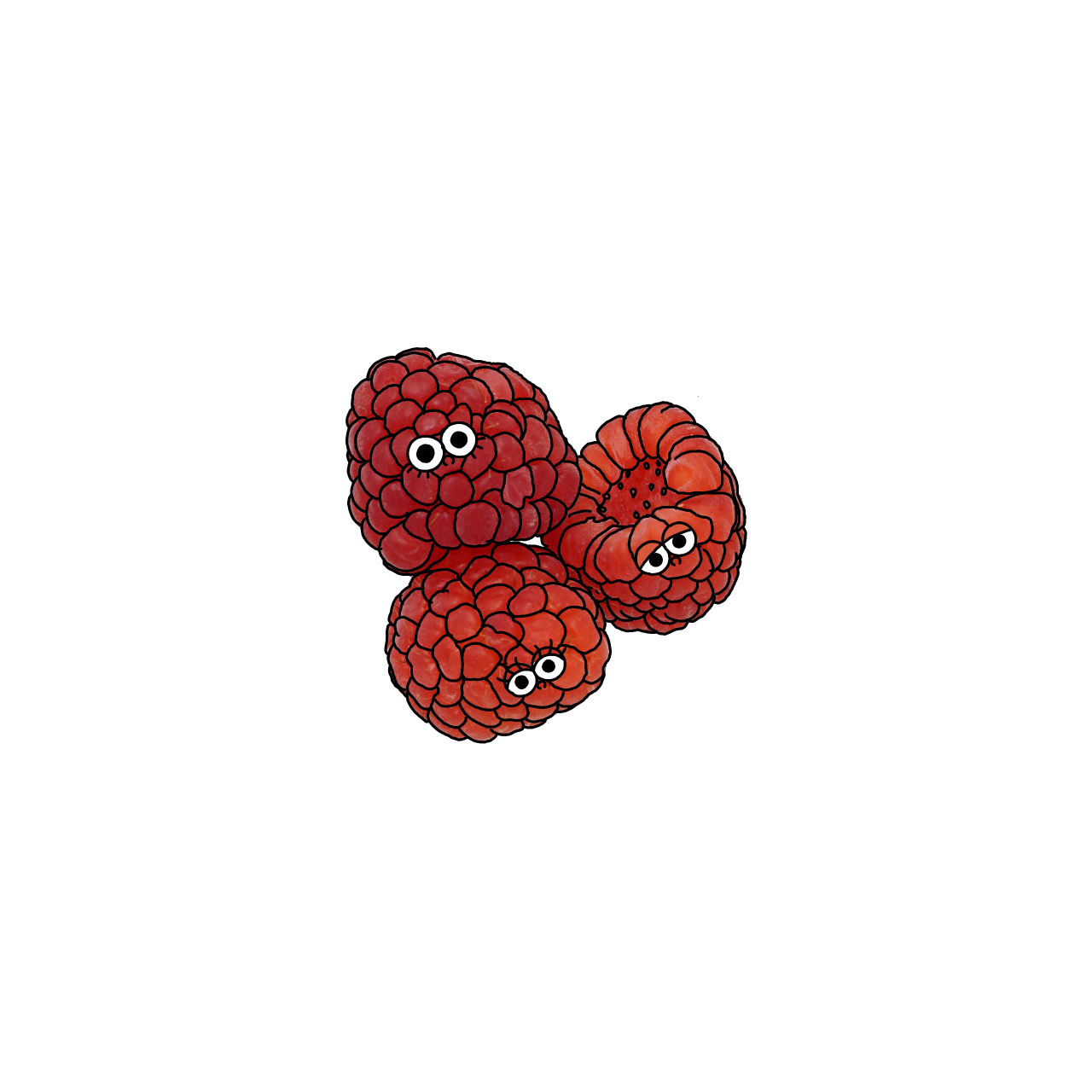 ラズベリーのイラスト｜商用可フリー画像・背景透過