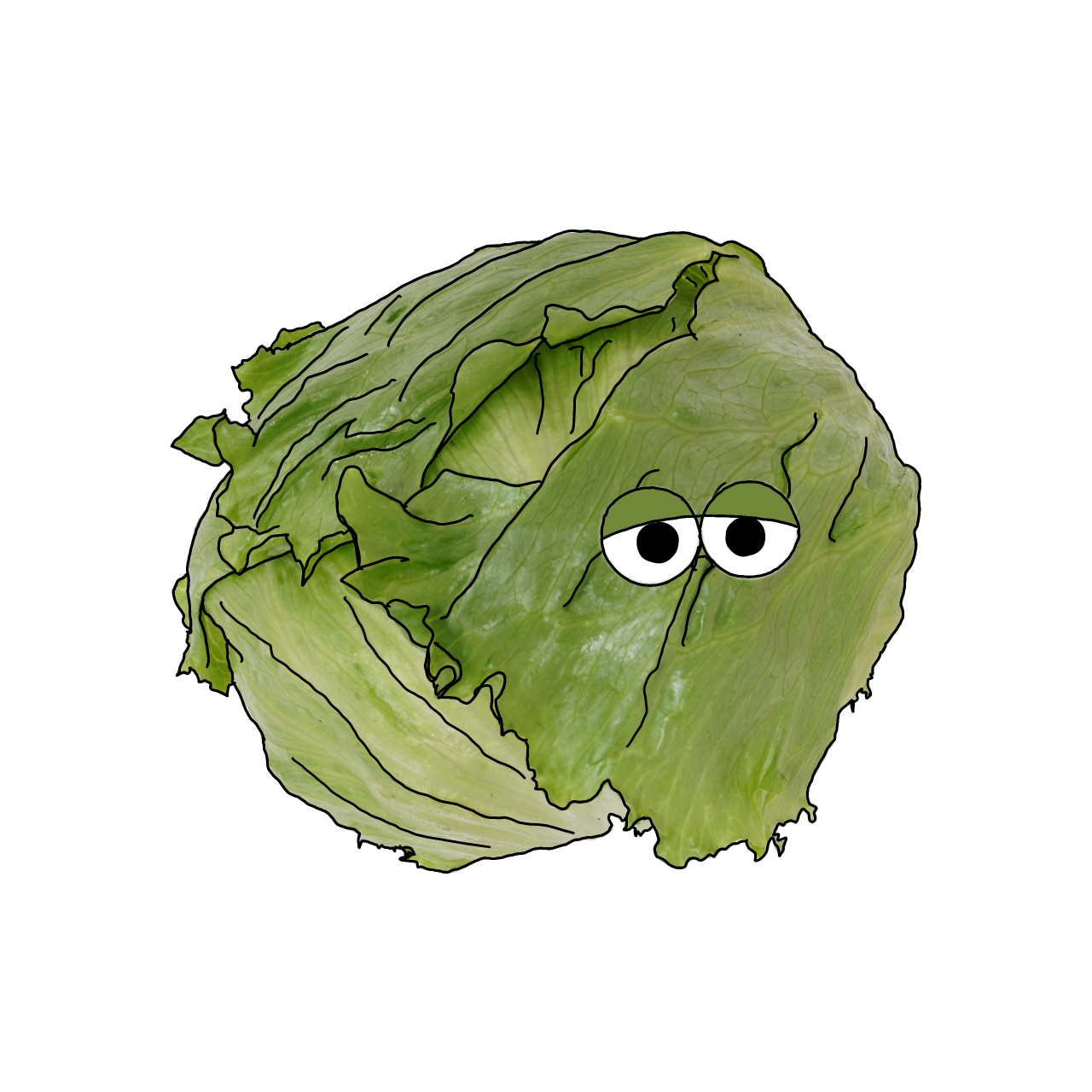 レタスのイラスト｜商用可フリー画像・背景透過