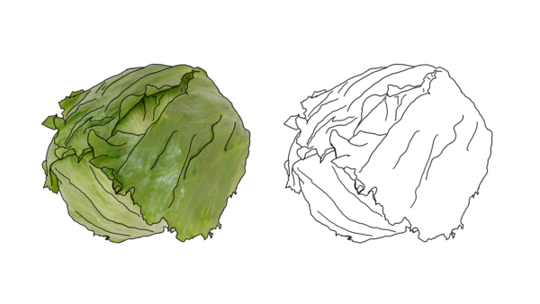 食べ物の塗り絵|商用可フリー画像・背景透過