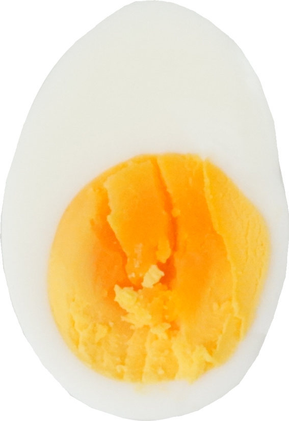 鶏卵（全卵・ゆで）｜商用可フリー画像・背景透過