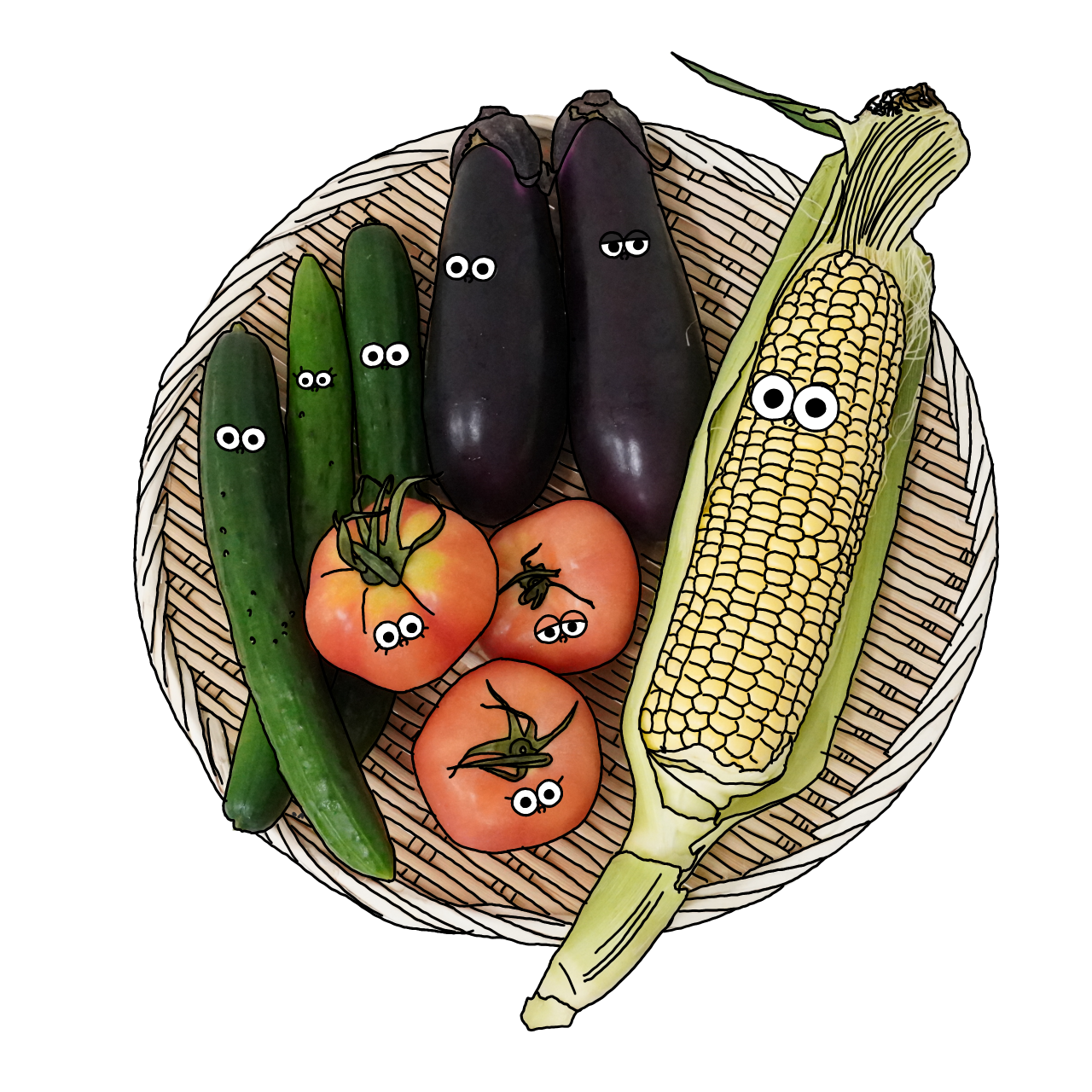 夏野菜のイラスト｜商用可フリー画像・背景透過