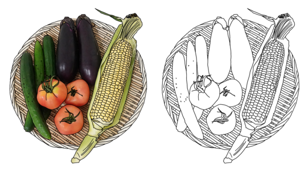 食べ物の塗り絵｜商用可フリー画像・背景透過