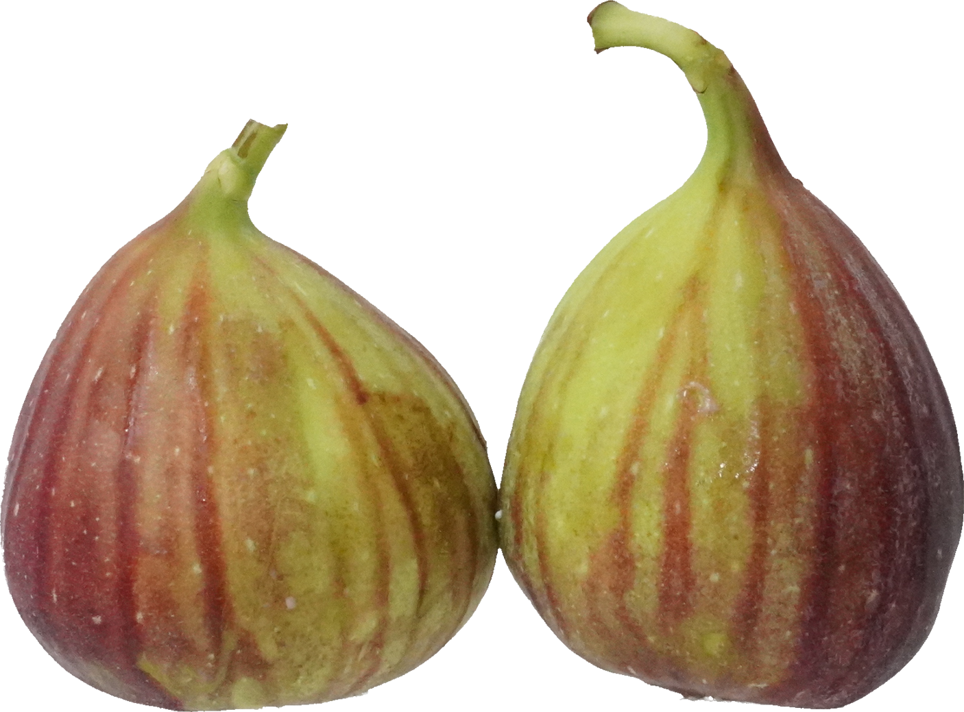 いちじく｜商用可フリー画像・背景透過