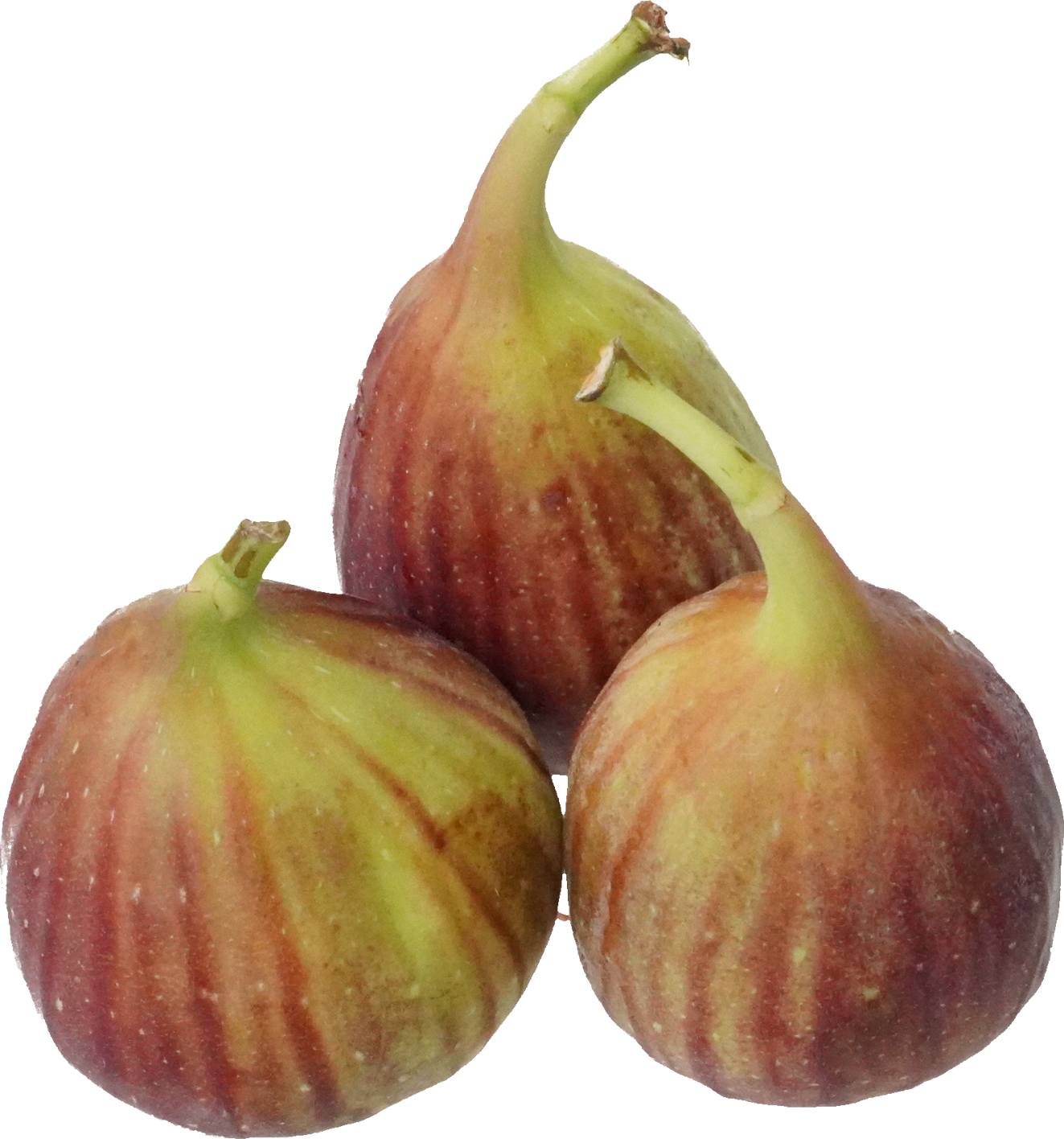 いちじく｜商用可フリー画像・背景透過