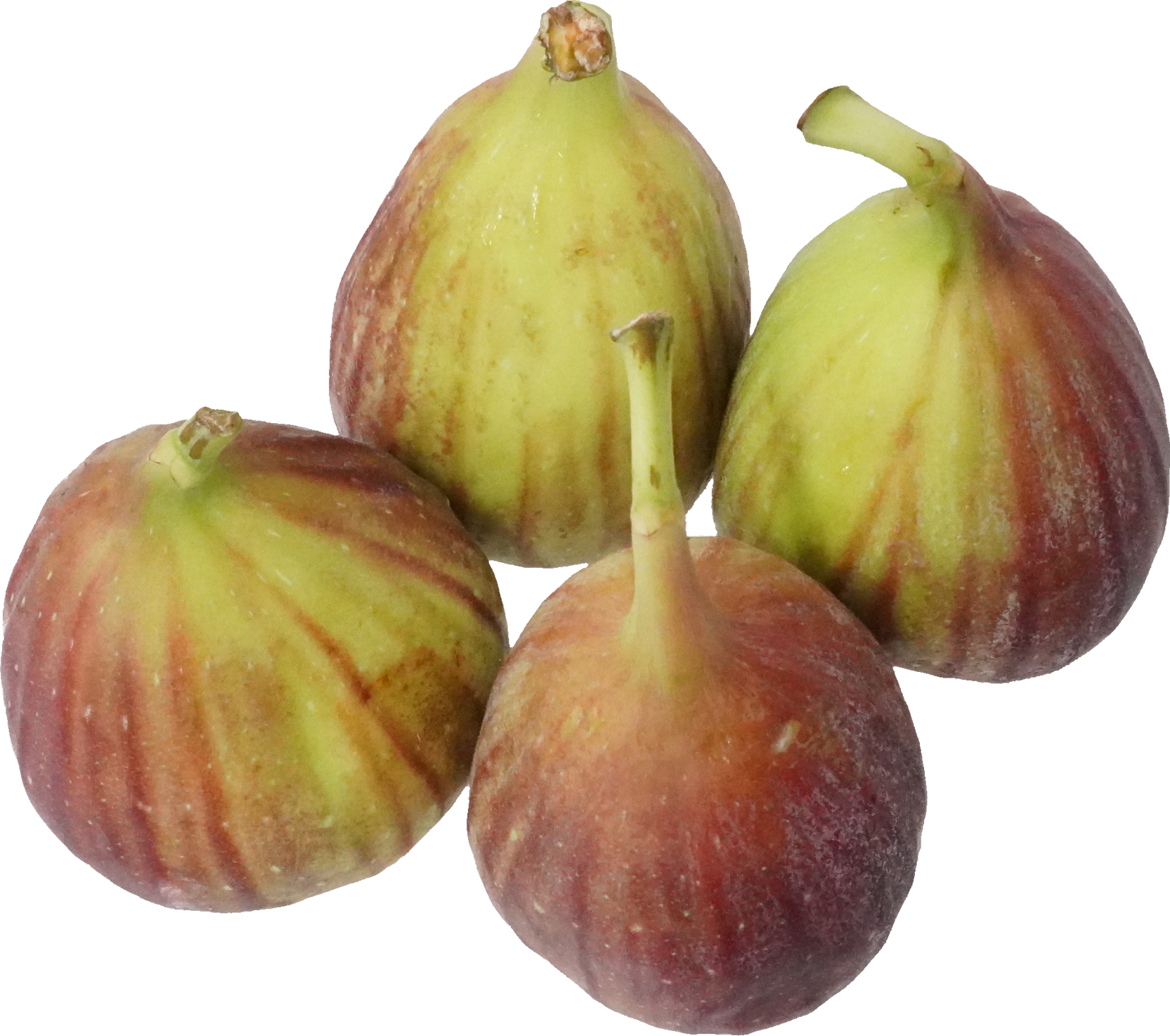 いちじく｜商用可フリー画像・背景透過