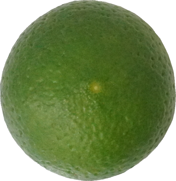 かぼす｜商用可フリー画像・背景透過