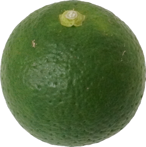 かぼす｜商用可フリー画像・背景透過