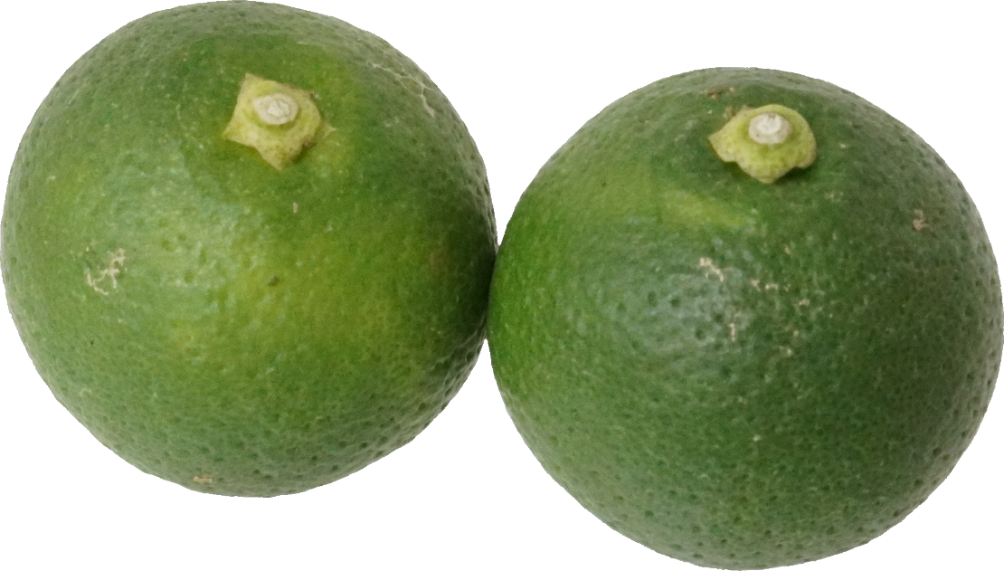 かぼす｜商用可フリー画像・背景透過