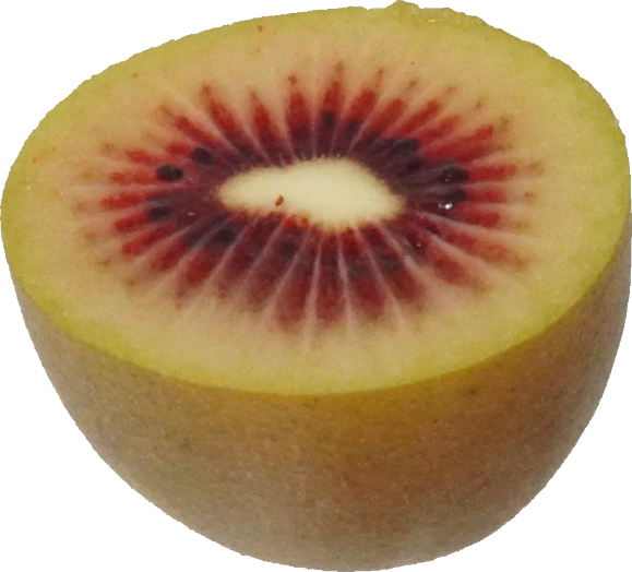 キウイフルーツ（ルビーレッド）｜商用可フリー画像・背景透過