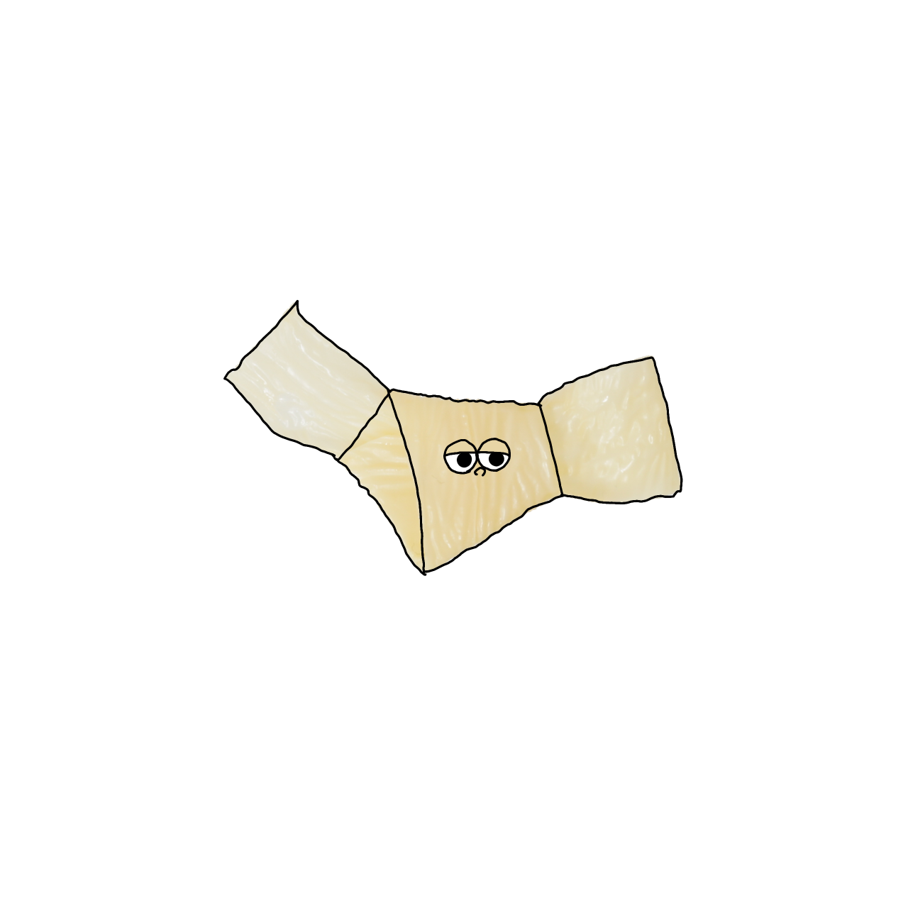 湯葉（乾）のイラスト｜商用可フリー画像・背景透過