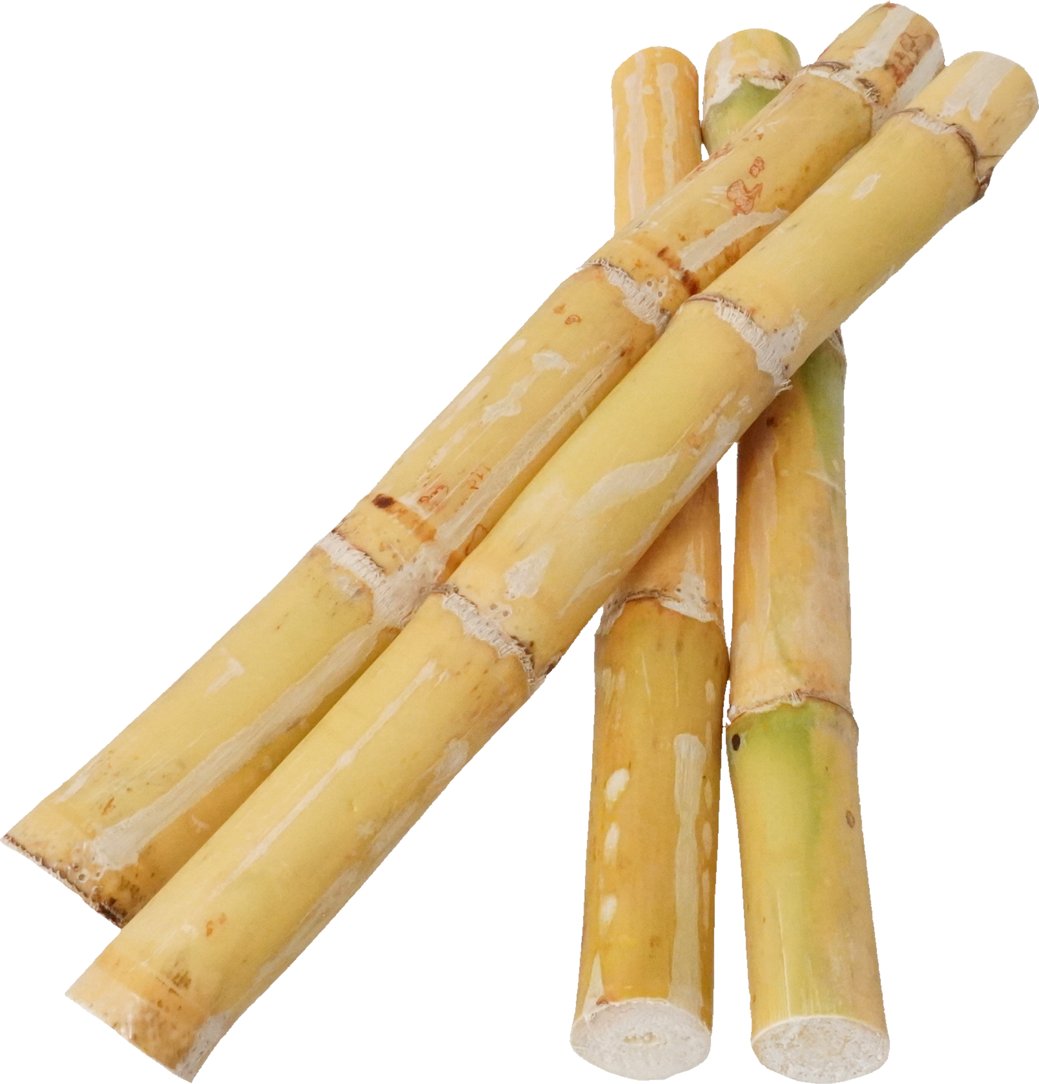 さとうきび｜商用可フリー画像・背景透過