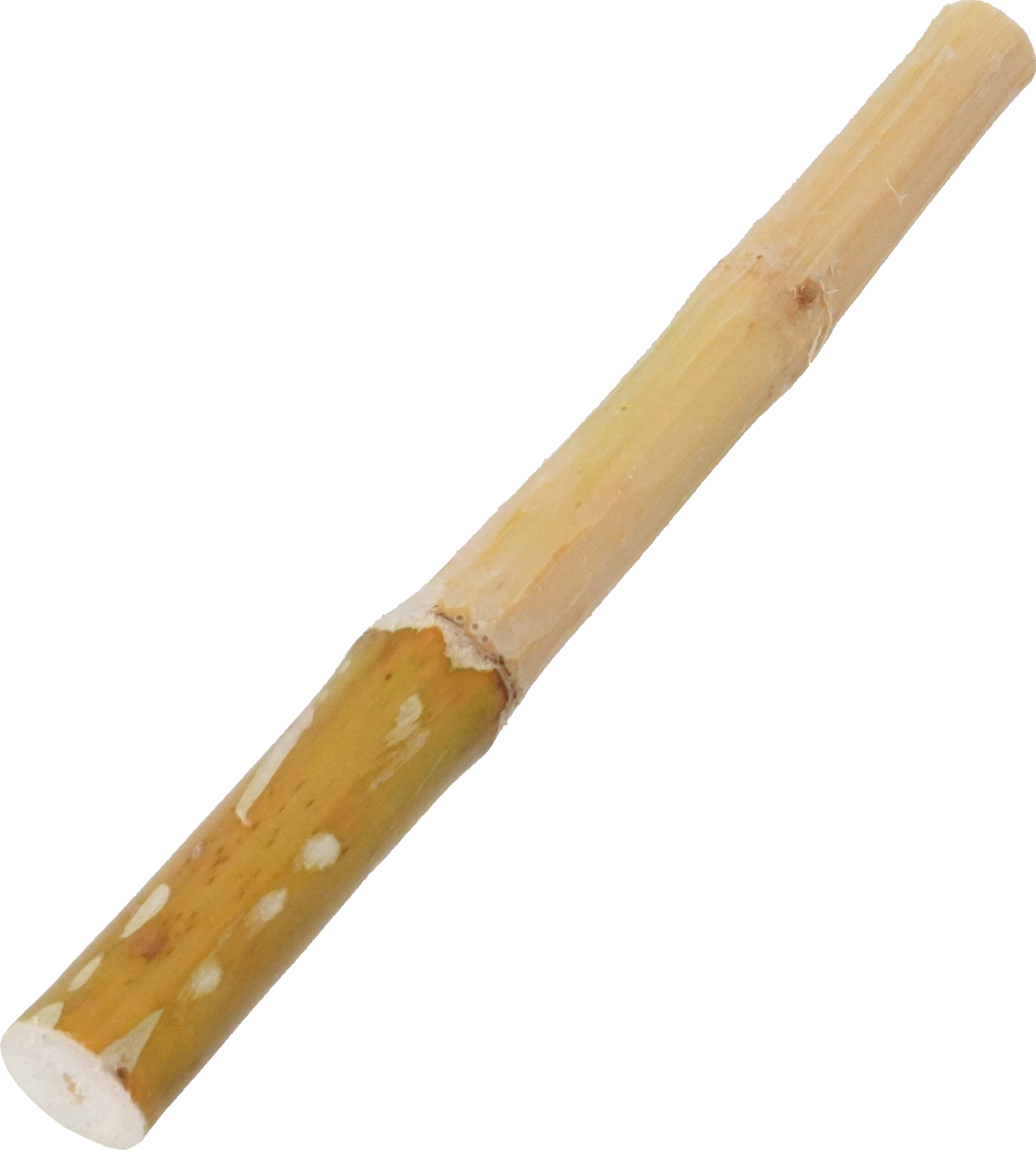 さとうきび｜商用可フリー画像・背景透過