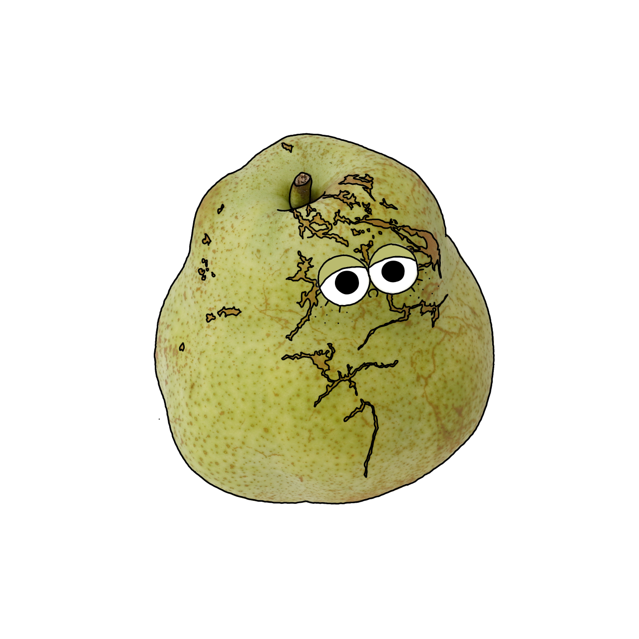 西洋なし【洋なし】のイラスト｜商用可フリー画像・背景透過