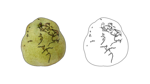 食べ物の塗り絵｜商用可フリー画像・背景透過