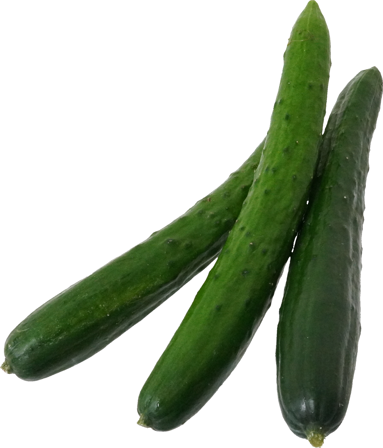 きゅうり｜商用可フリー画像・背景透過