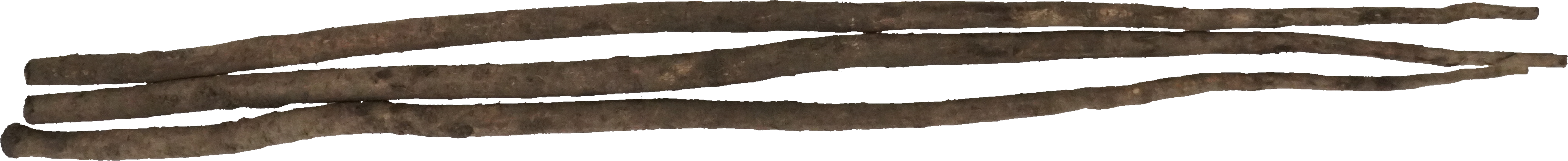 ごぼう（土付き）｜商用可フリー画像・背景透過