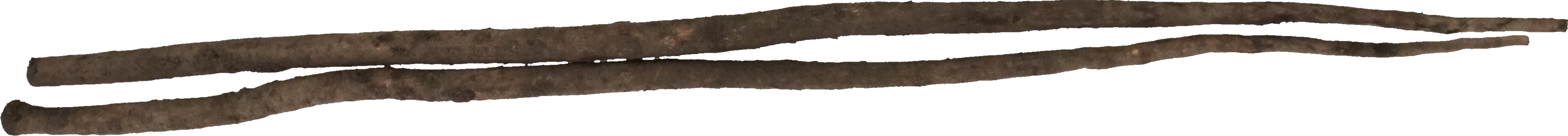 ごぼう（土付き）｜商用可フリー画像・背景透過