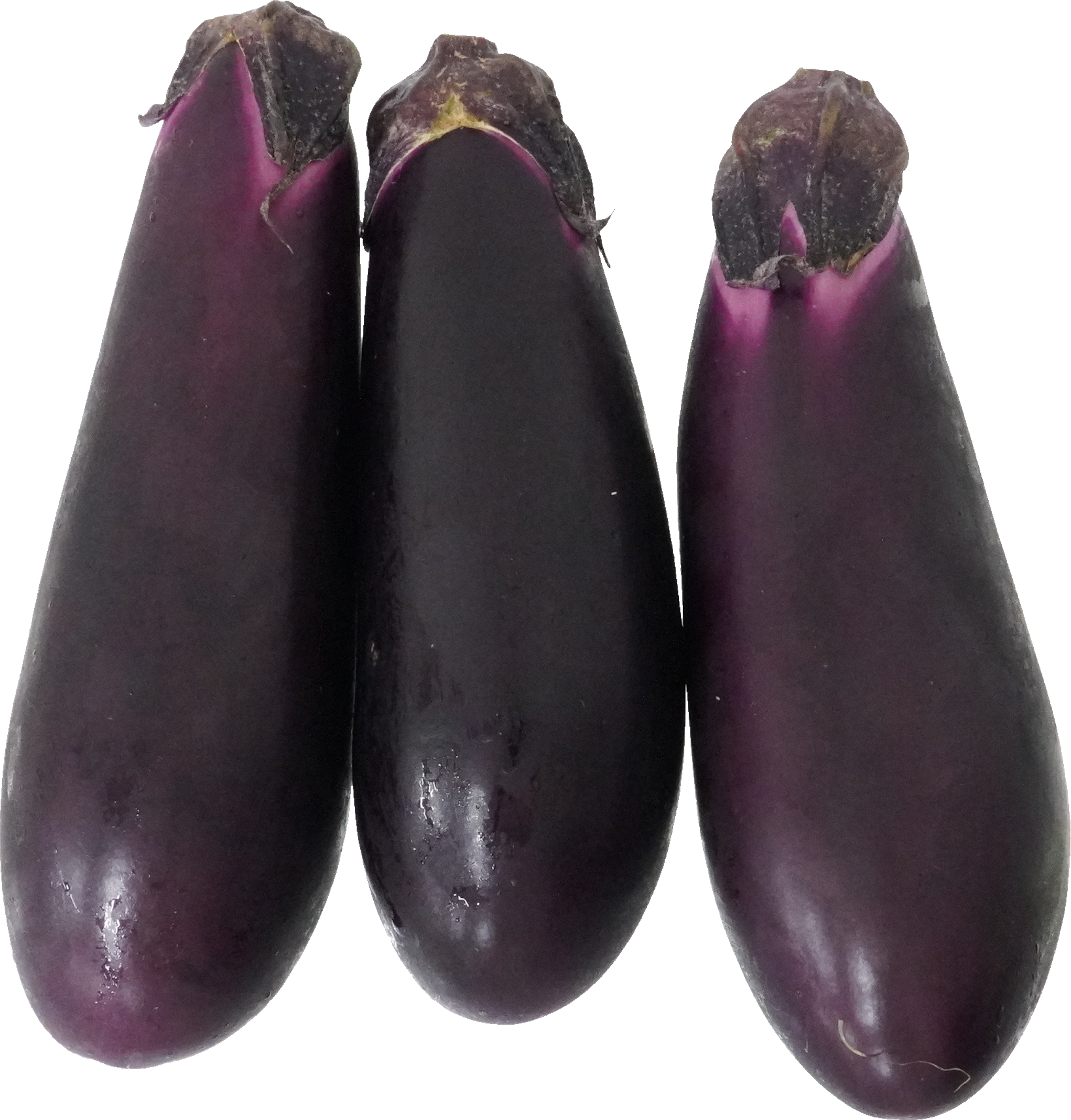 なす｜商用可フリー画像・背景透過