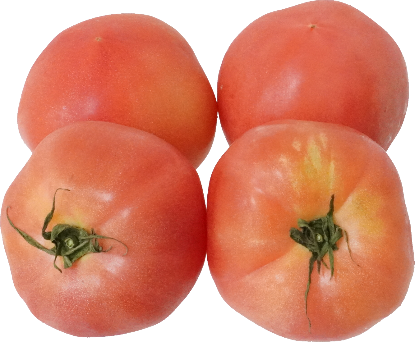 トマト｜商用可フリー画像・背景透過