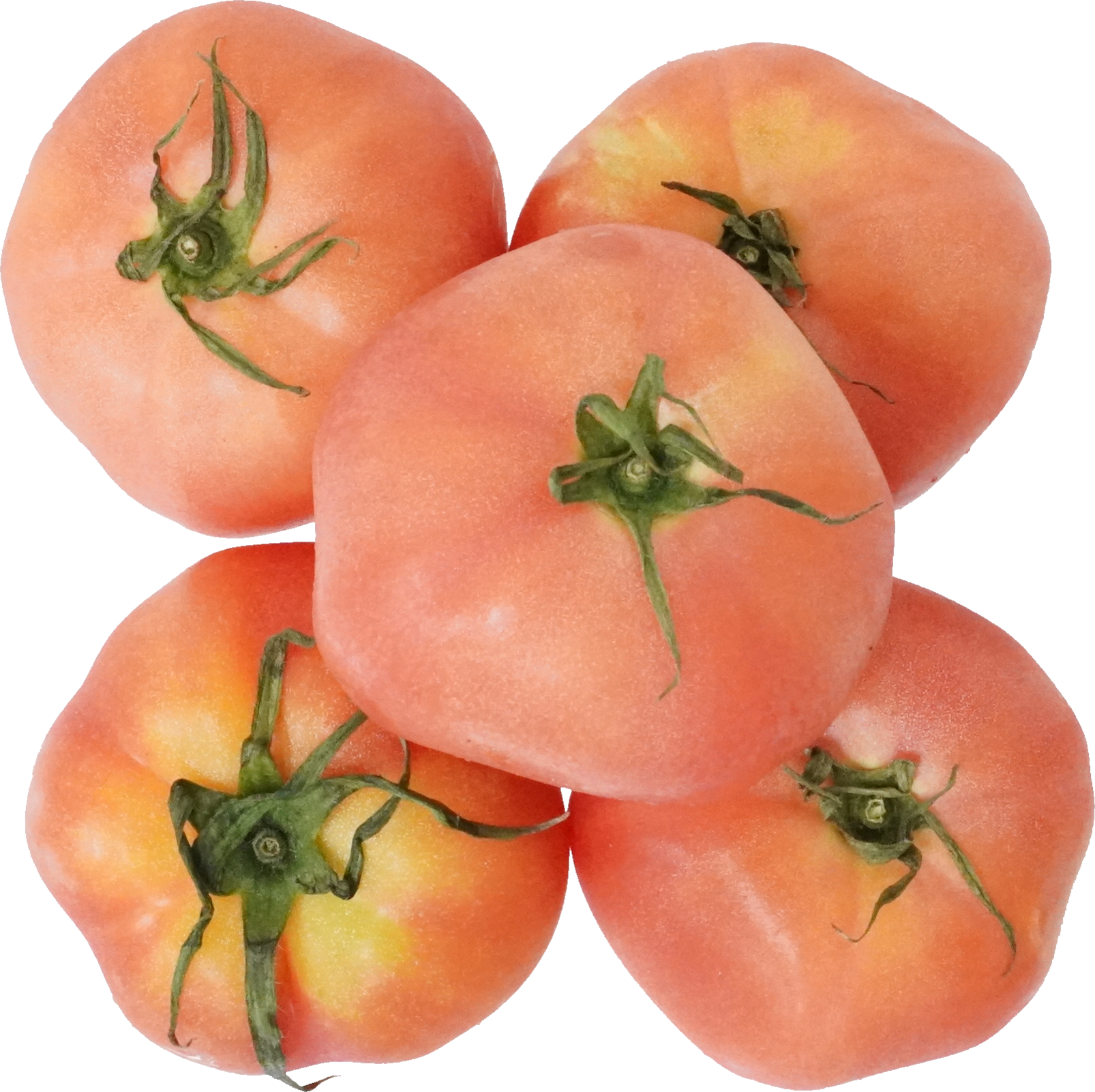 トマト｜商用可フリー画像・背景透過