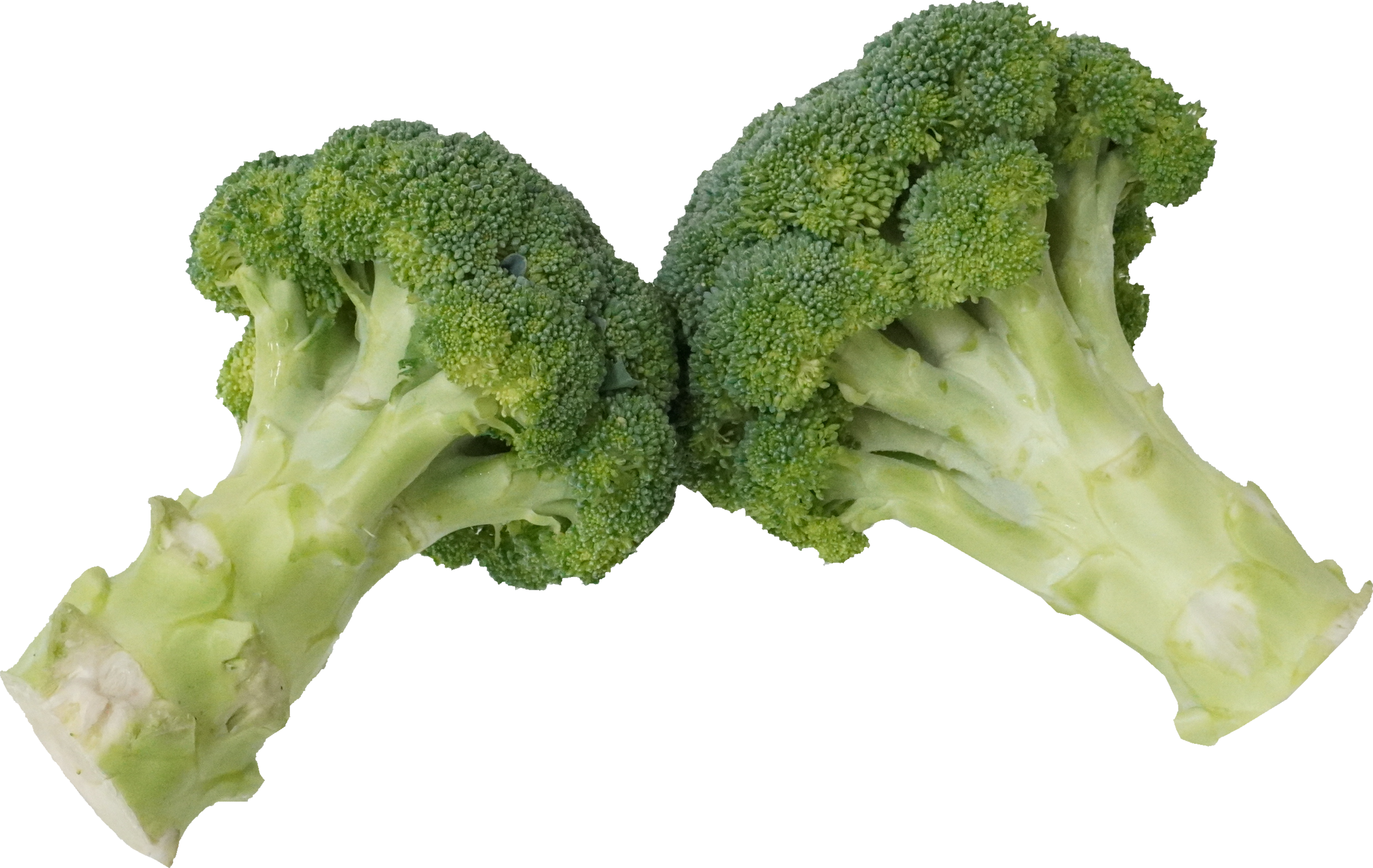 ブロッコリー｜商用可フリー画像・背景透過