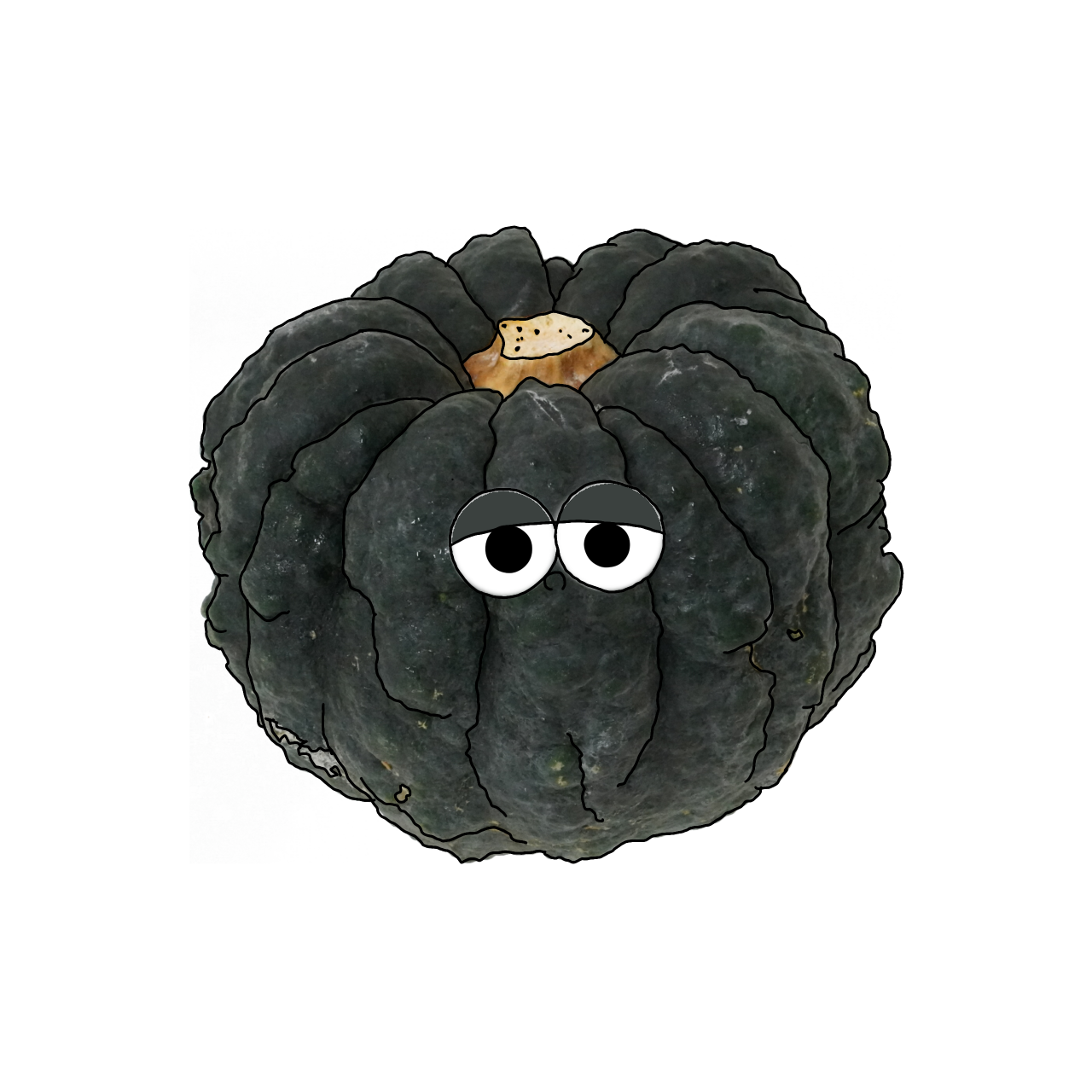 かぼちゃのイラスト｜商用可フリー画像・背景透過