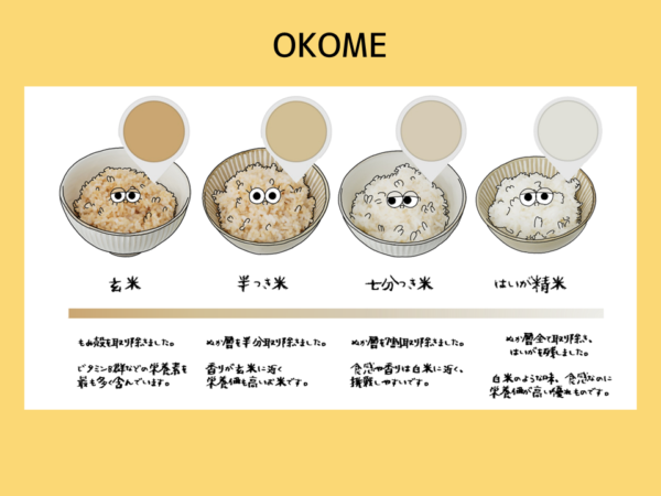 いろんなお米|商用可フリー画像・背景透過