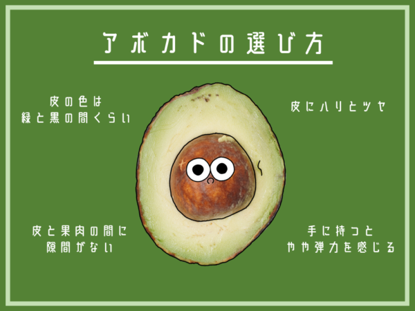 おいしいアボカドの選び方|商用可フリー画像・背景透過