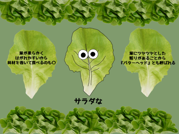 フリフリのサラダな｜商用可フリー画像・背景透過