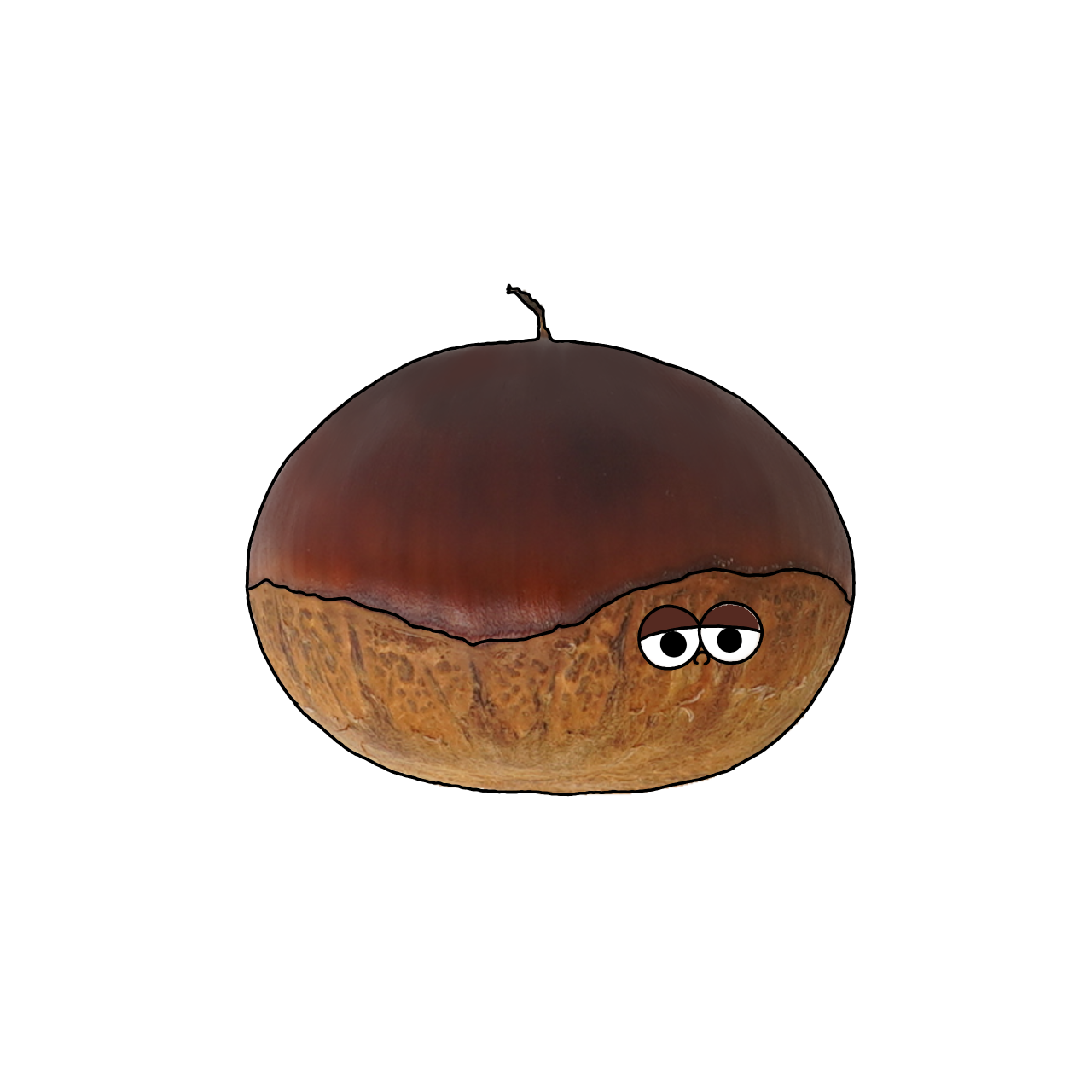 日本ぐりのイラスト｜商用可フリー画像・背景透過