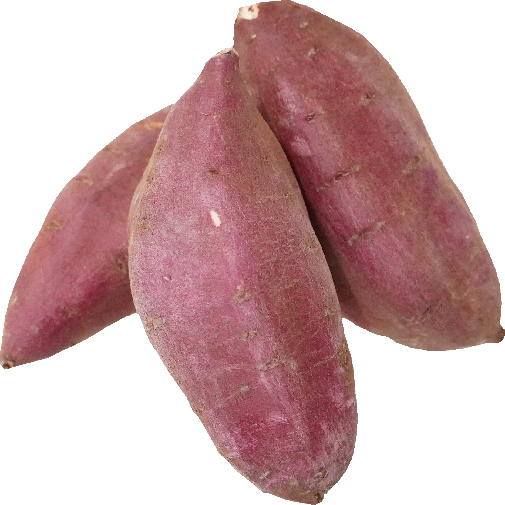 さつまいも｜商用可フリー画像・背景透過
