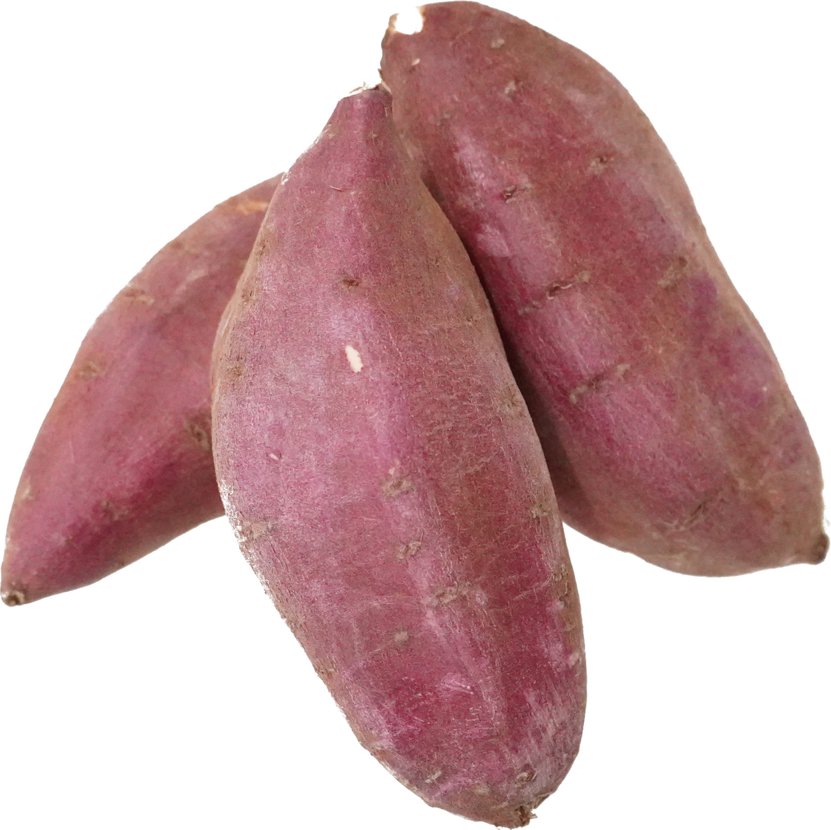 さつまいも｜商用可フリー画像・背景透過