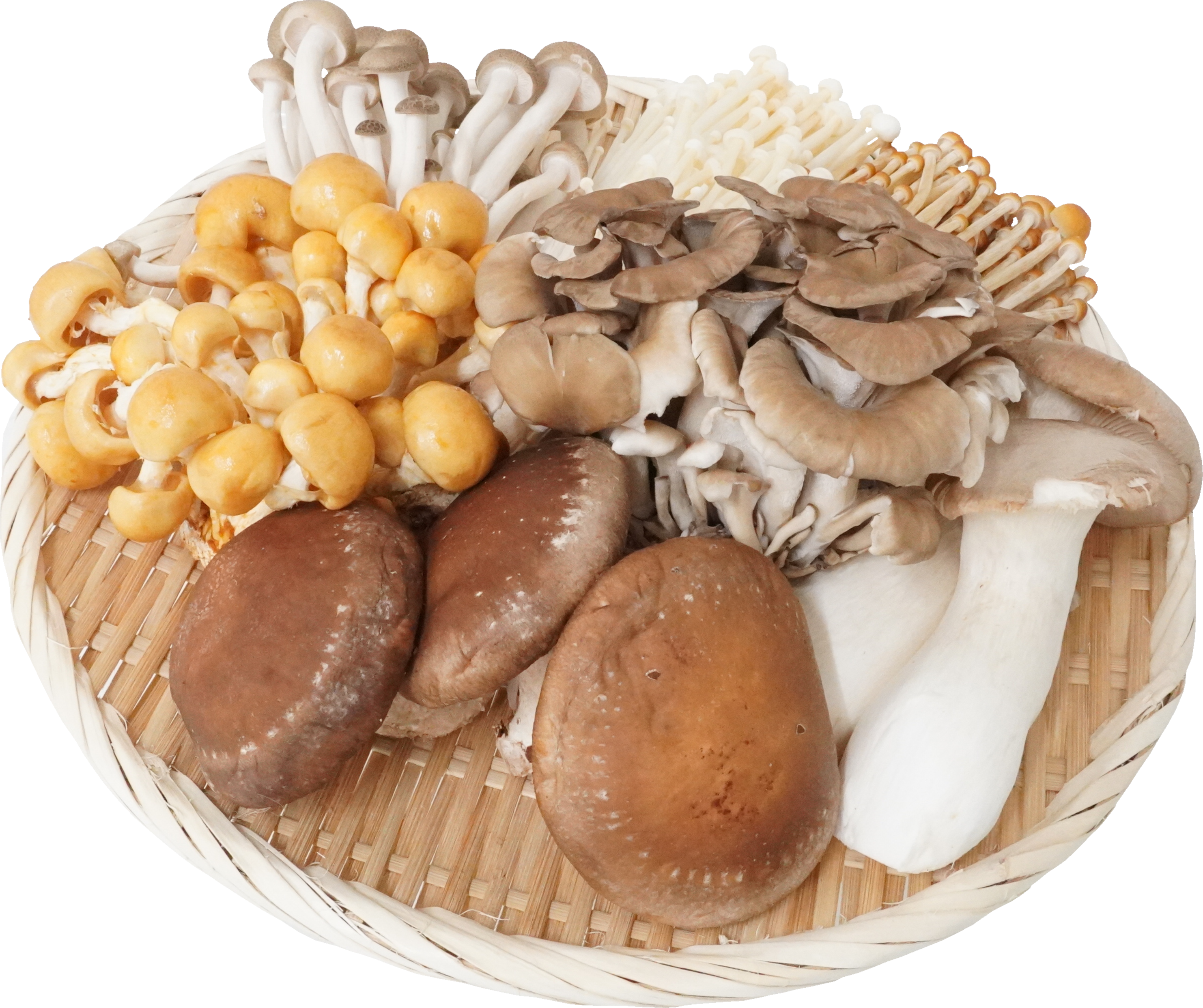 きのこ盛り合わせ｜商用可フリー画像・背景透過