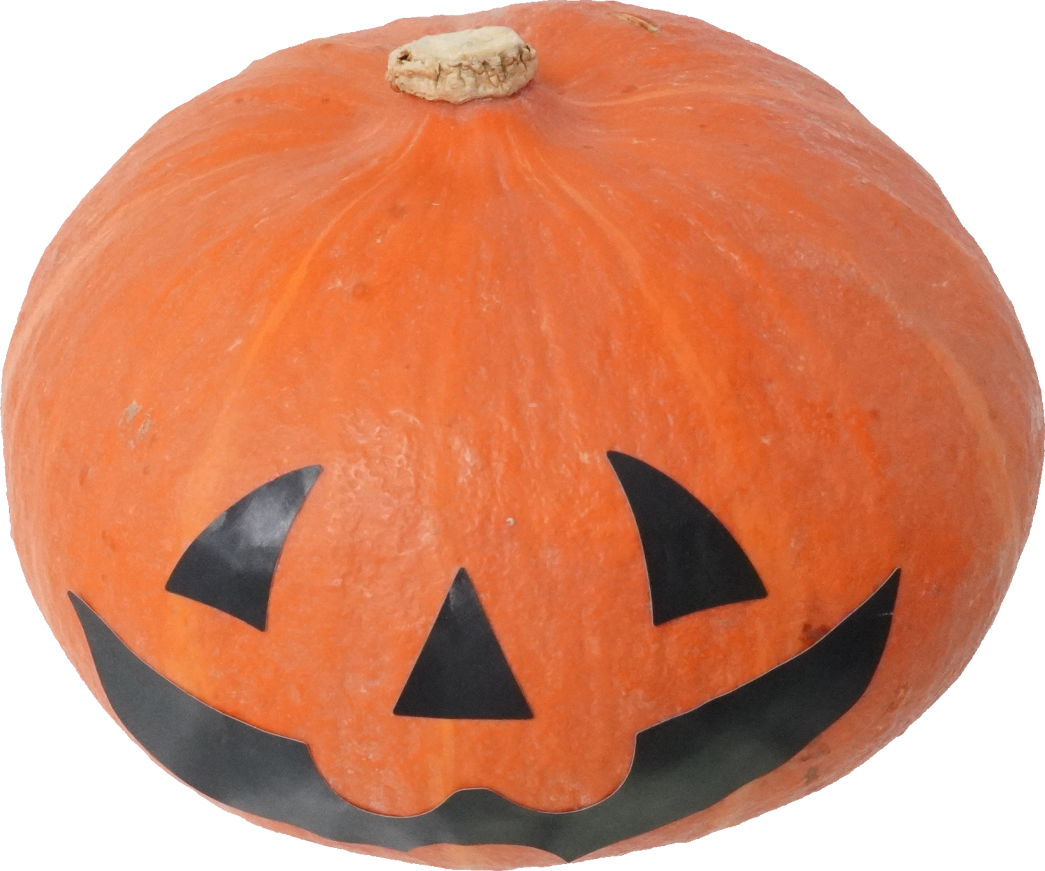 かぼちゃ｜商用可フリー画像・背景透過