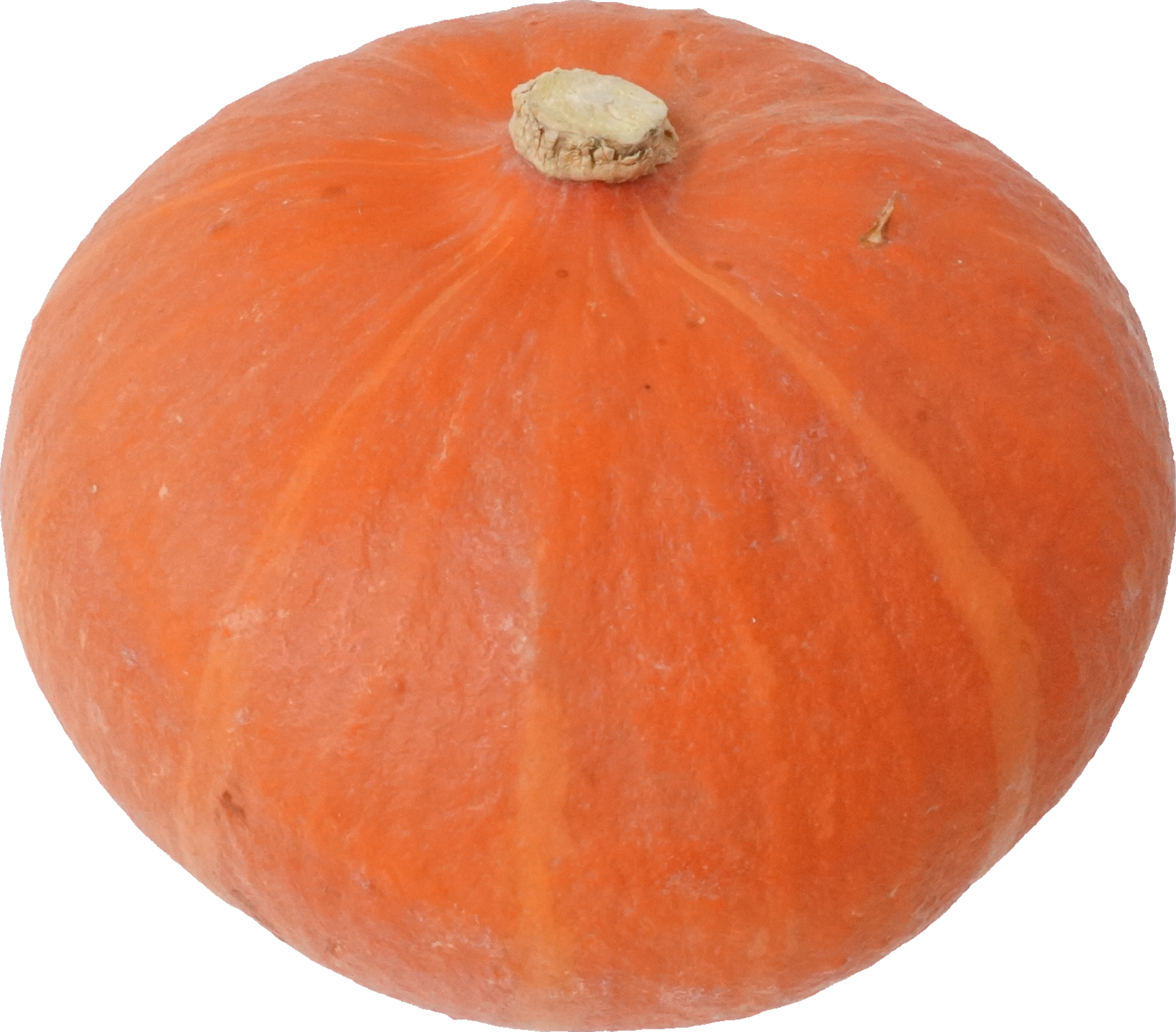 かぼちゃ（オレンジ）｜商用可フリー画像・背景透過
