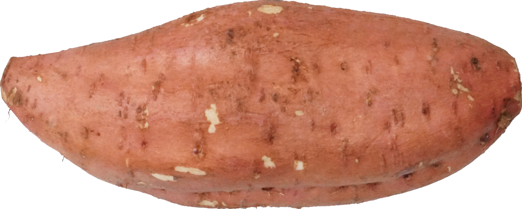 さつまいも（安納芋）｜商用可フリー画像・背景透過
