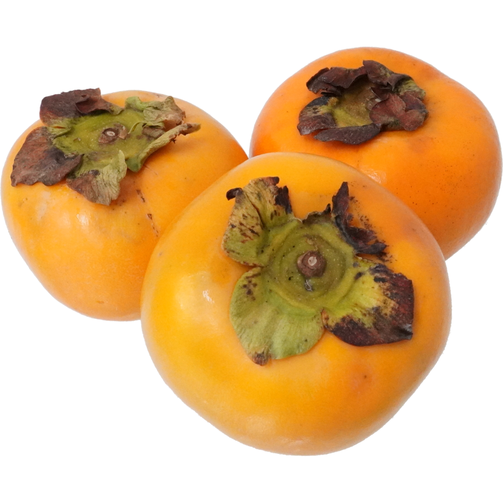 かき｜商用可フリー画像・背景透過