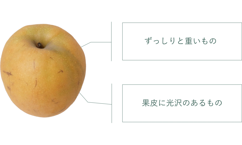 なし｜商用可フリー画像・背景透過