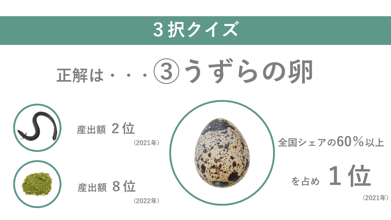 みかん｜商用可フリー画像・背景透過