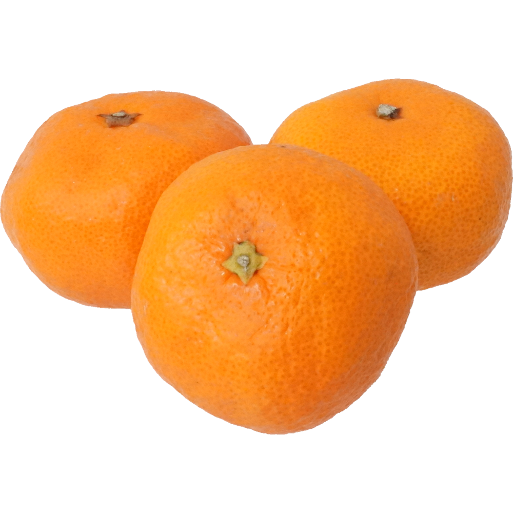 みかん｜商用可フリー画像・背景透過