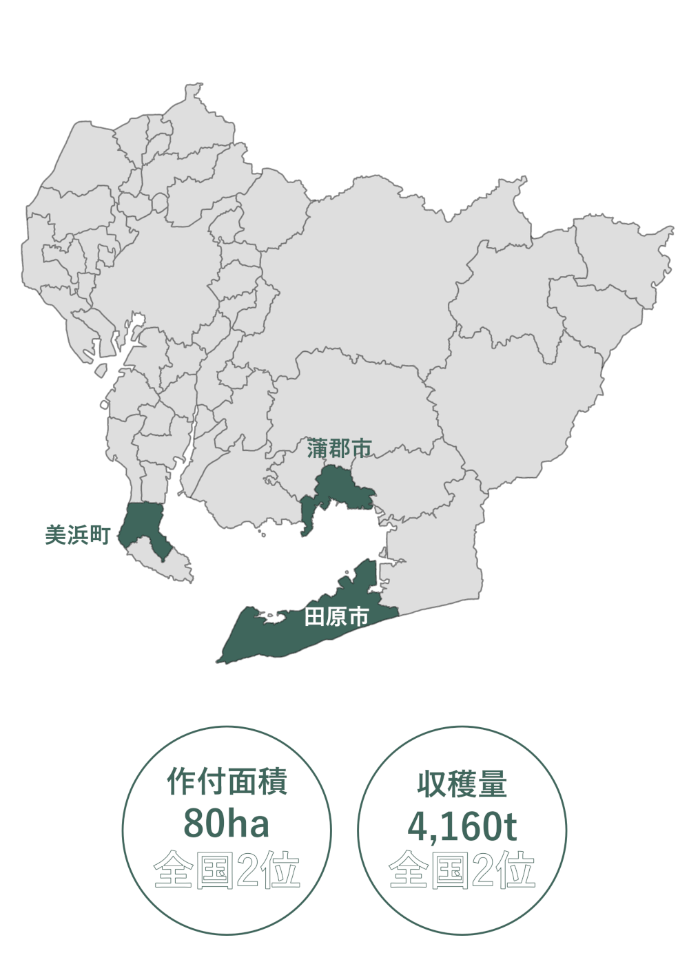 みかん｜商用可フリー画像・背景透過