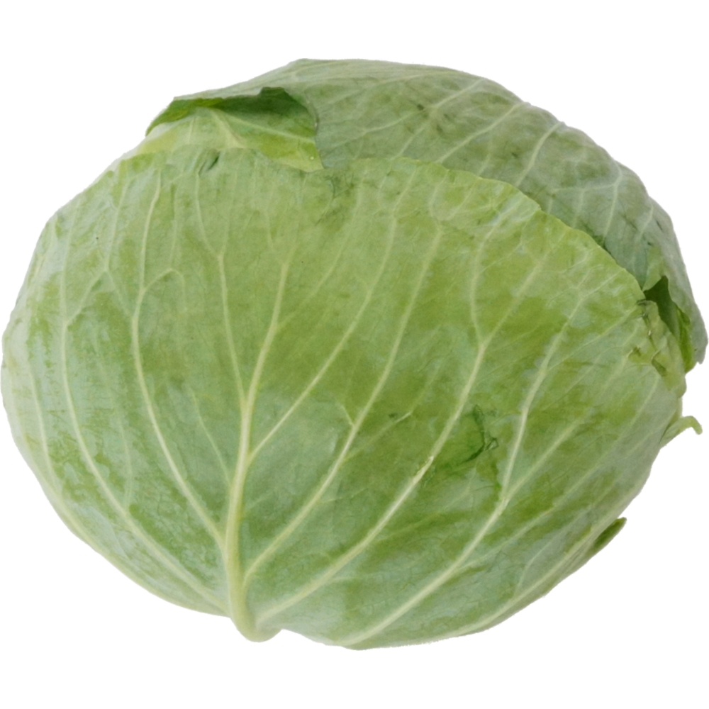 キャベツ｜商用可フリー画像・背景透過