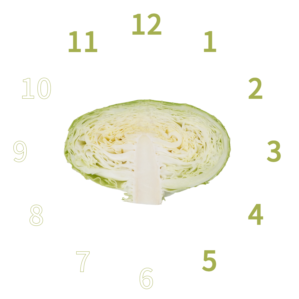 キャベツ｜商用可フリー画像・背景透過