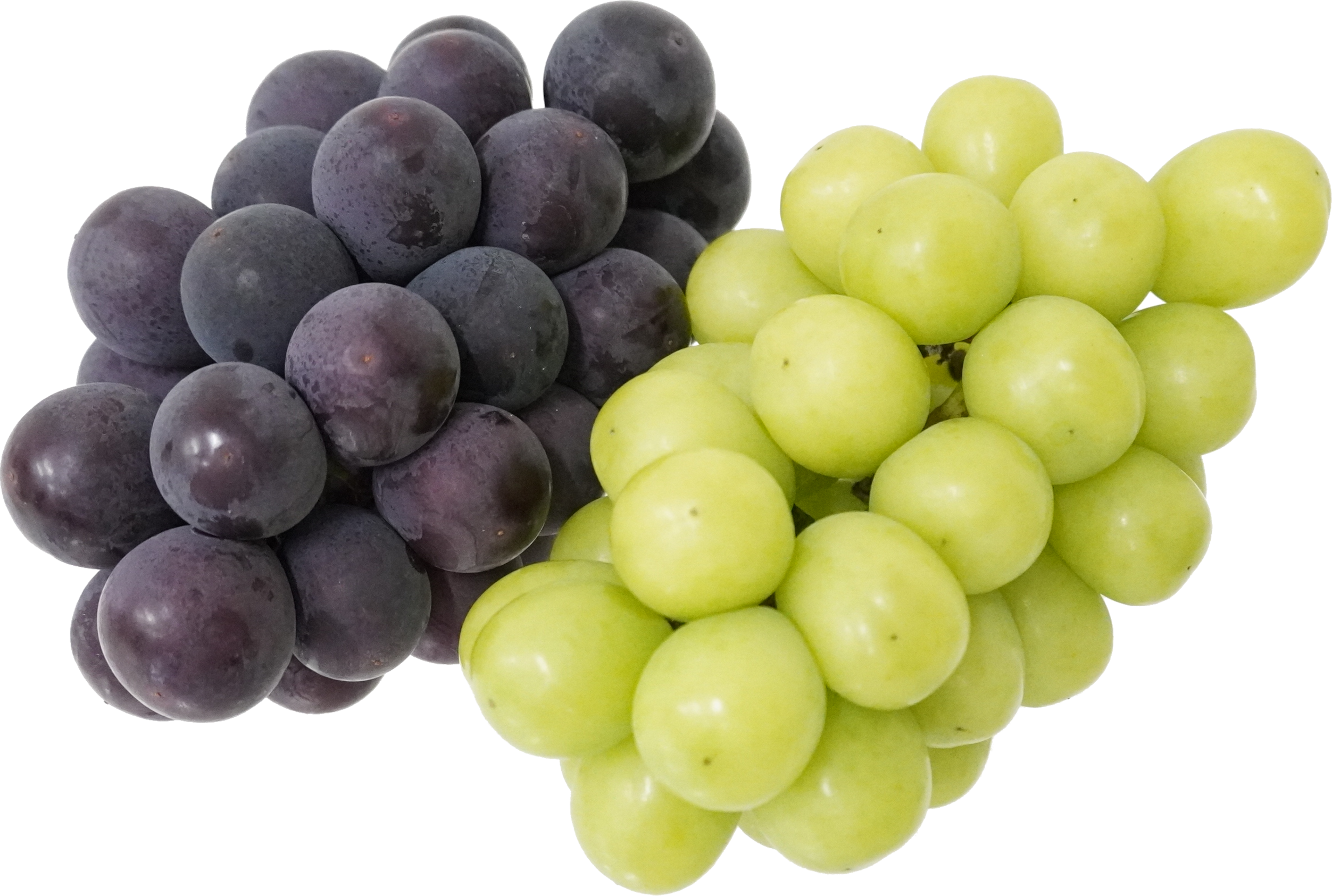 ぶどう｜商用可フリー画像・背景透過