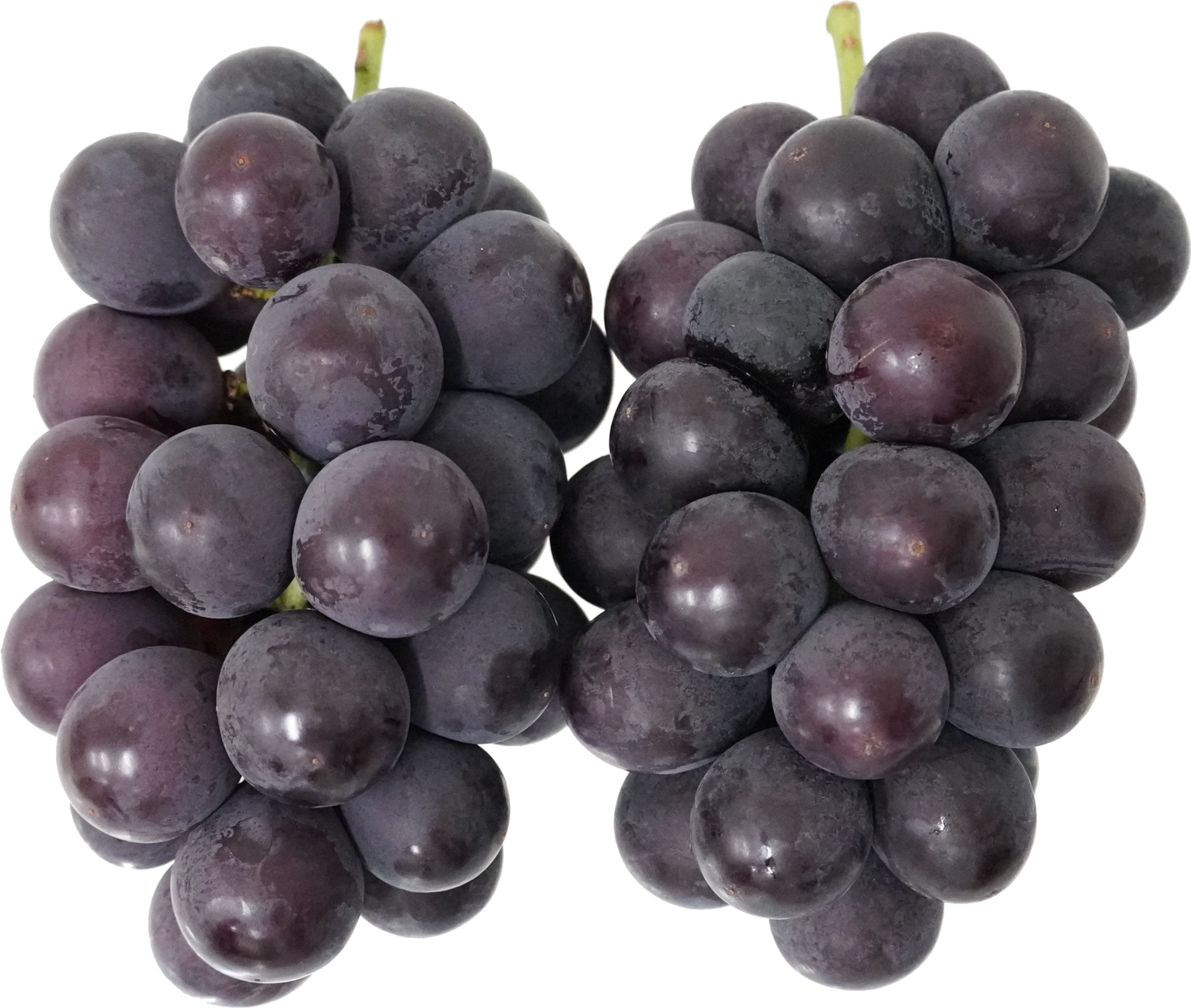 ぶどう（巨峰）｜商用可フリー画像・背景透過