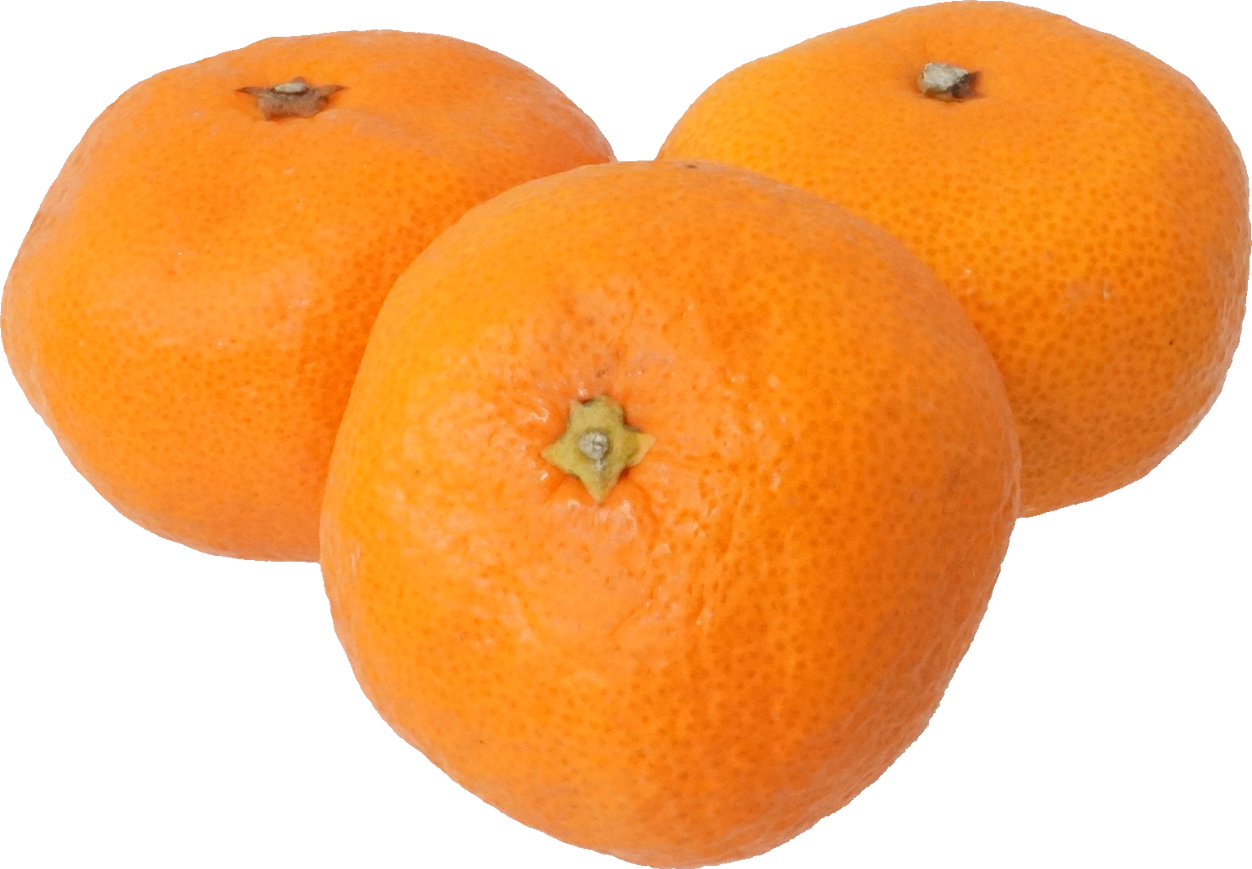 みかん（愛知県産）｜商用可フリー画像・背景透過